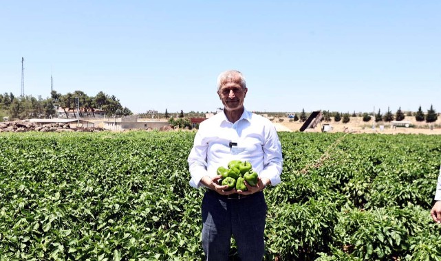 Tahmazoğlu çiftçilerle tarlada biber topladı