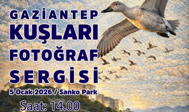 Gaziantep'in kuşları görücüye çıkıyor