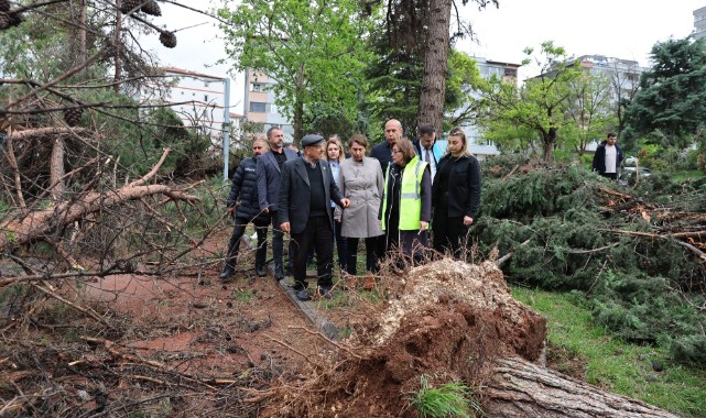 Başkan Şahin Çalışmaları Yerinde Takip Etti