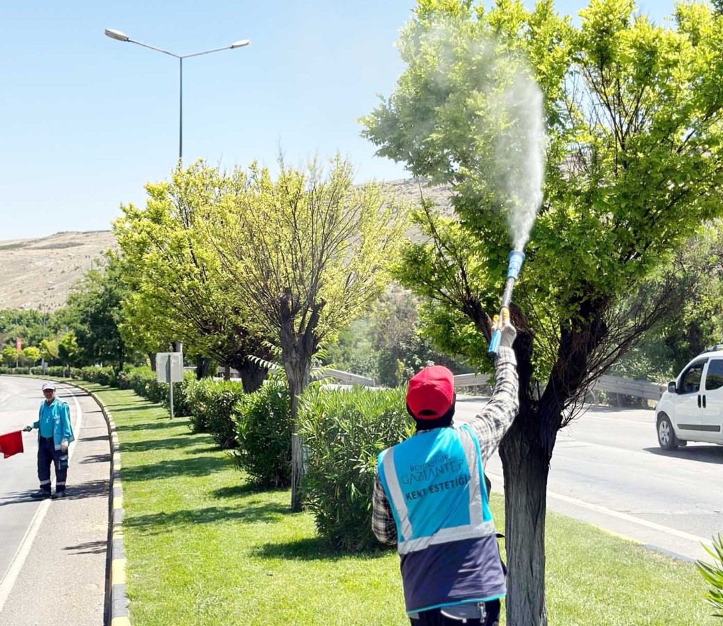 Gaziantep'te yeşil alanlar ilaçlanıyor;