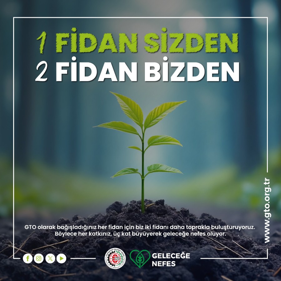 Yeşil kampanyaya 1 günde 17778 fidan bağışı;