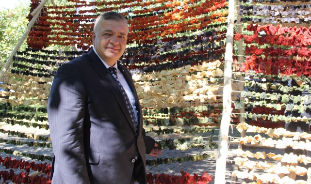 Sebze kurutmalıkları küresel lezzet oldu