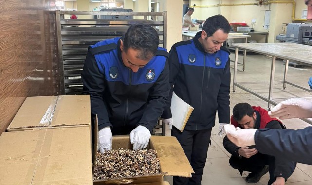 Gıda denetiminde küflü ceviz şoku