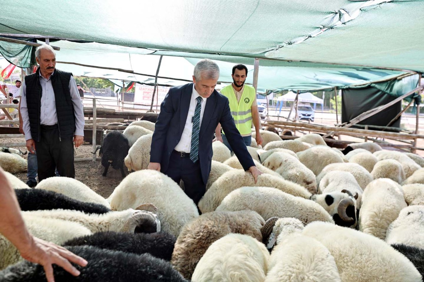 Tahmazoğlu kurban fiyatlarını açıkladı;