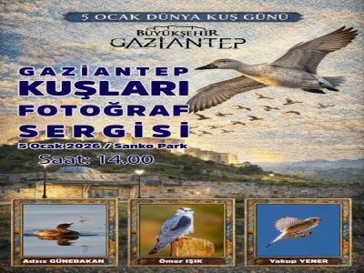 Gaziantep'in kuşları görücüye çıkıyor