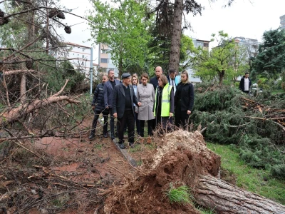 Başkan Şahin Çalışmaları Yerinde Takip Etti
