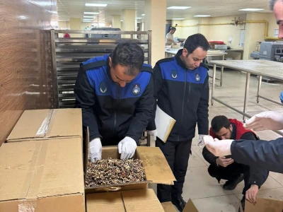 Gıda denetiminde küflü ceviz şoku